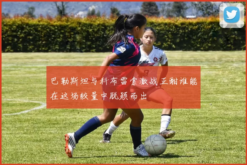 巴勒斯坦与科布雷索激战正酣谁能在这场较量中脱颖而出