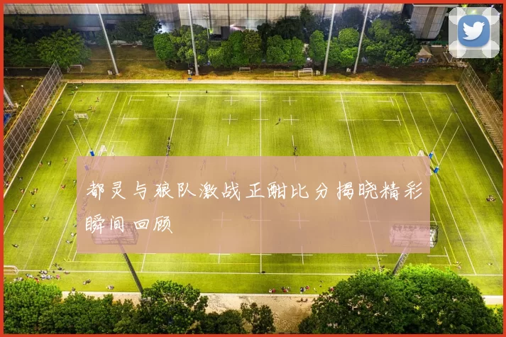 都灵与狼队激战正酣比分揭晓精彩瞬间回顾