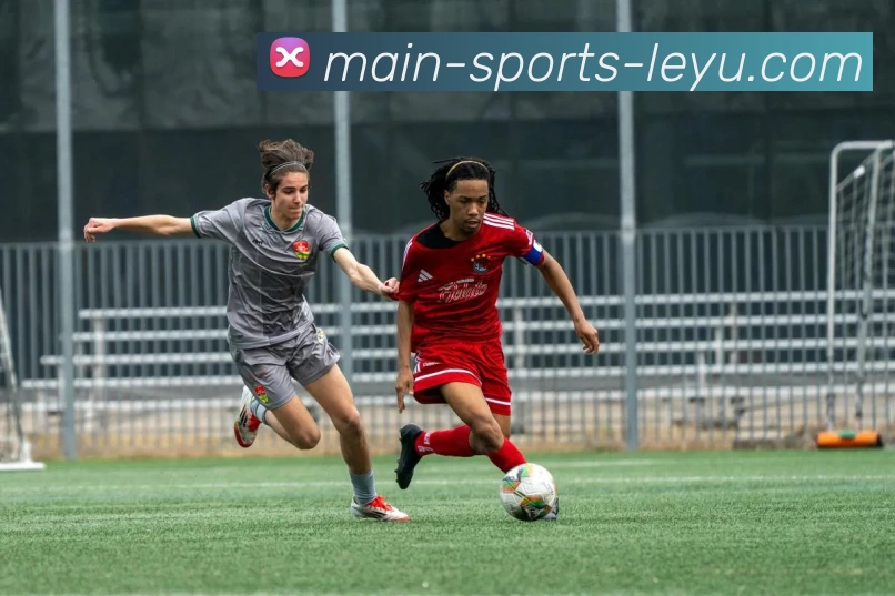 App Interface Preview