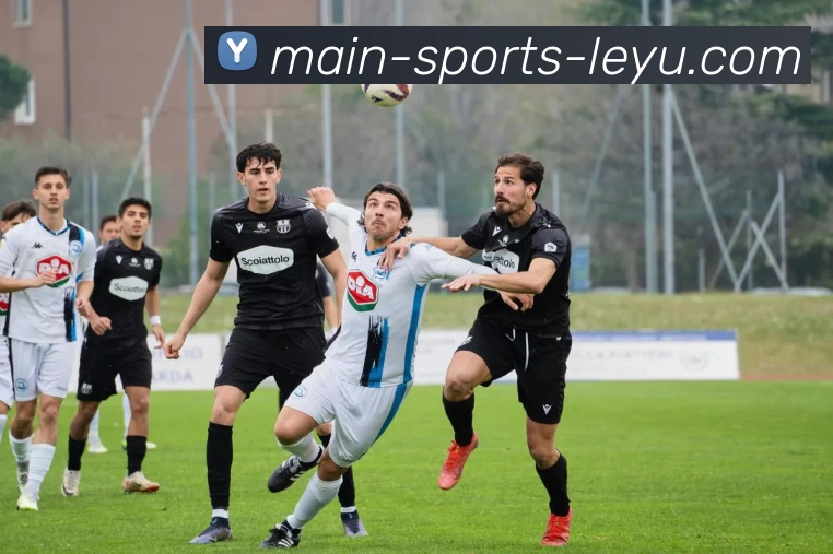 乐鱼网站APP 封面图